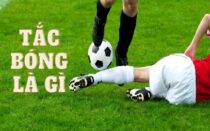 Tắc bóng là gì? Phân tích toàn diện kỹ thuật tắc bóng trong bóng đá hiện đại